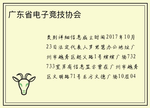 广东省电子竞技协会